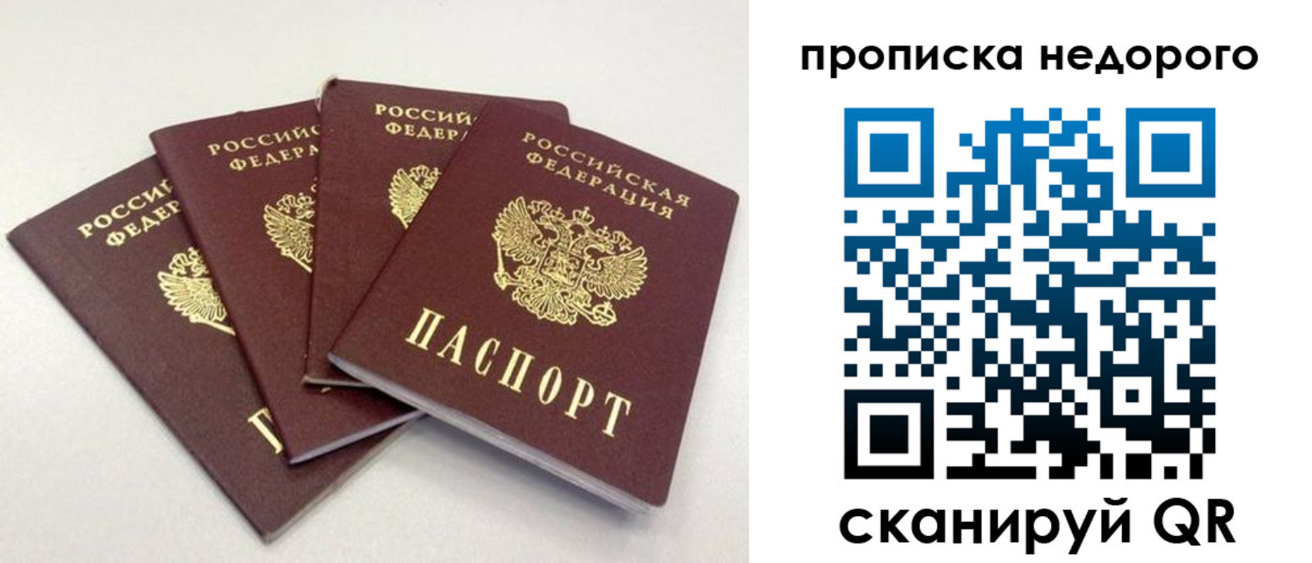 прописка законно в Соколе